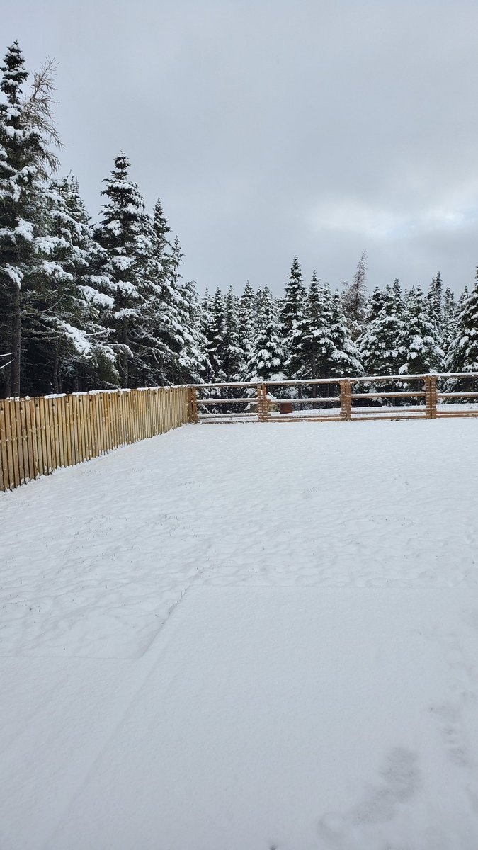 Happy Halloween from the land of the North ☃️☃️

Have to shovel part of the driveway to get the stream setup wheeled to the garage, start time should still be in about half an hour! (depening on snow)

See you soon for a building stream with snow and wood stove fires 🔥