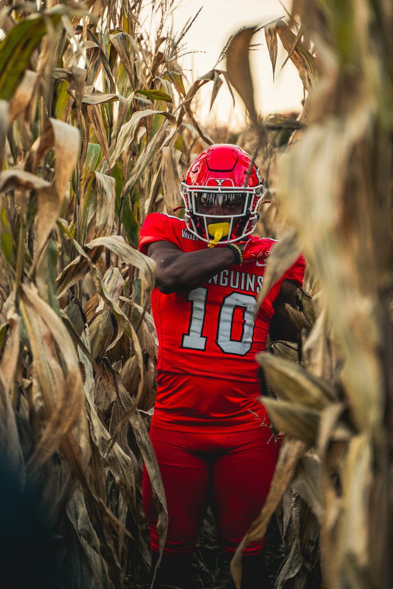 Youngstown State Football tweet media