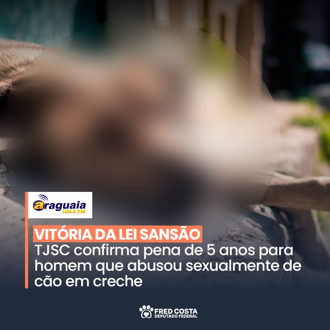 Fred Costa tweet media