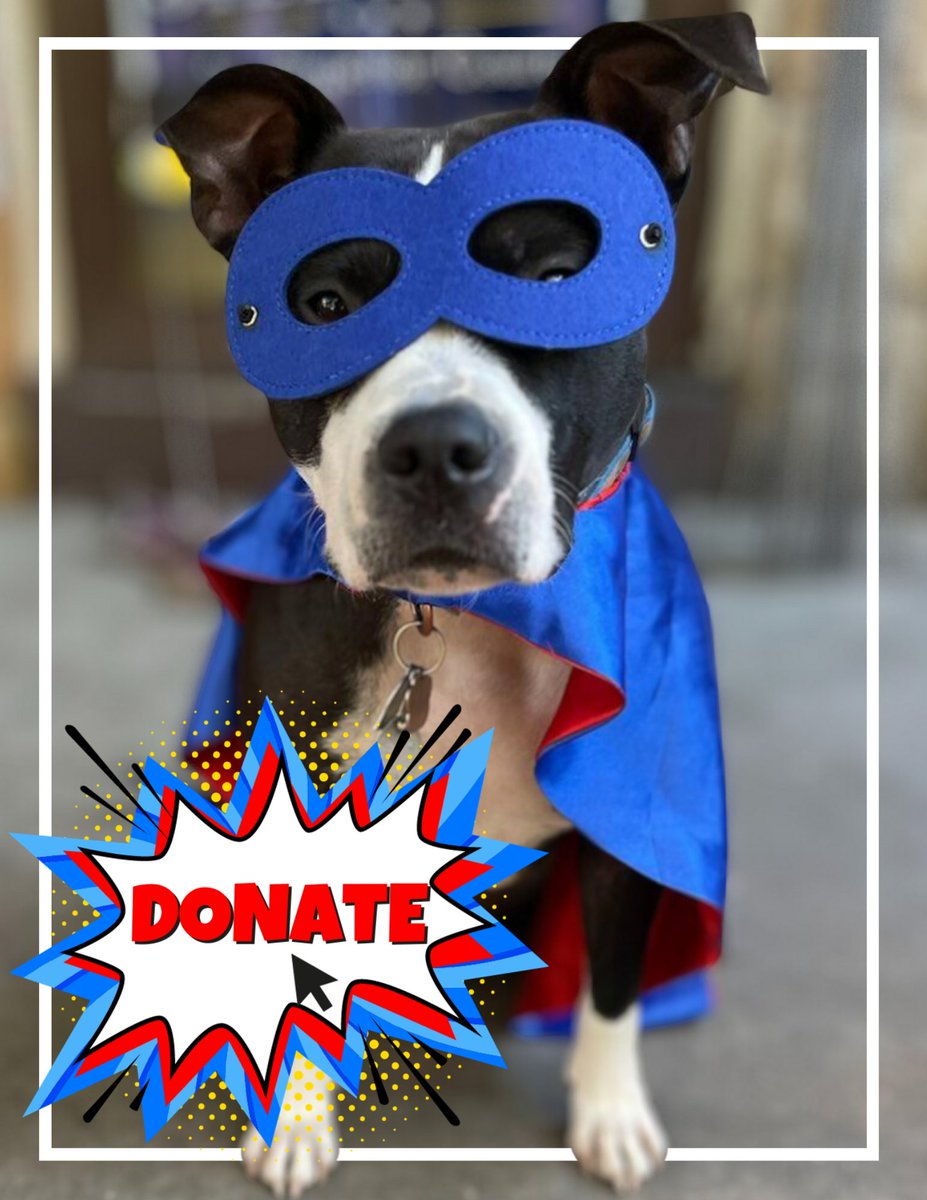 Can you be a superhero for #TeamBeck and make a donation today to help Team Beck finish strong on November 7th? ⭐️ secure.actblue.com/donate/superhe… #HappyHalloween #ElectJillBeck