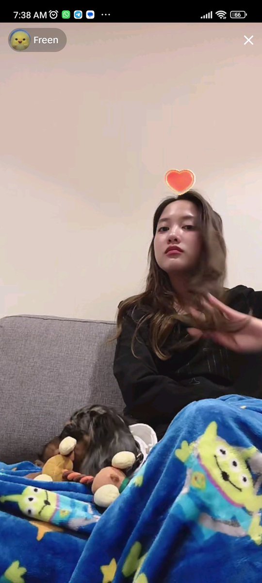 LuzFBPFK's tweet photo. Verte a primera hora del día es lo más hermoso que hay 😍😍😍😍😍
I missed you 🥺
#srchafreen #ForeverWithFreen https://t.co/Lirvtjr5dE