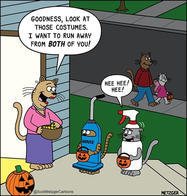 LauraSBerger's tweet photo. Lol. Happy #Halloween!! https://t.co/JZu1GHkONw