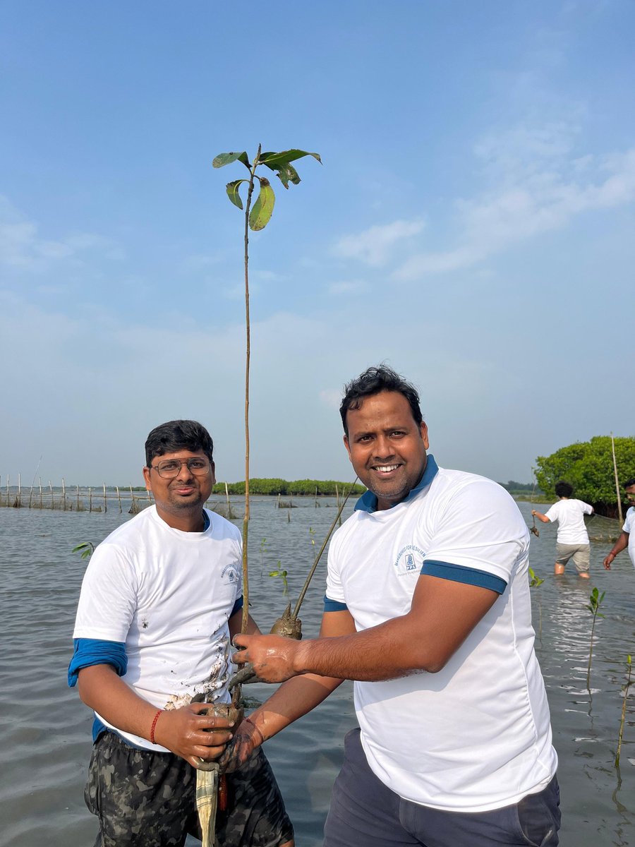 #MangroveRestoration for coastal protection
Mangrove Restoration has been done in the coastal area of Kankan village in Ambiki panchayat under Erasama block,Odisha for sea conservation and coastal protection
#OdishaCoast
@SATTVIC_SOUL 
@dfomangrovefdwl @CollectorJspur 
@pargaien