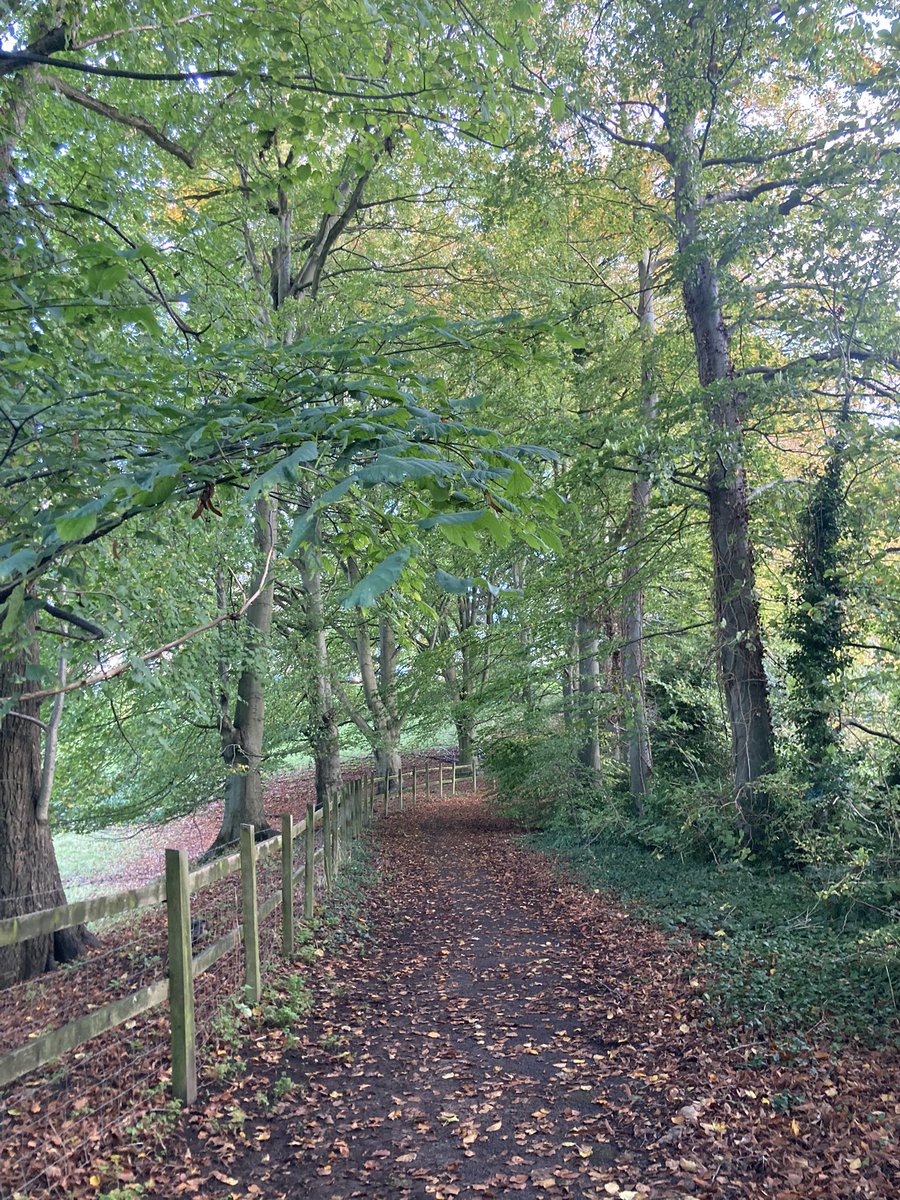 A glorious autumn walk in #fabulousLansdown during my lunch break . #walkmore