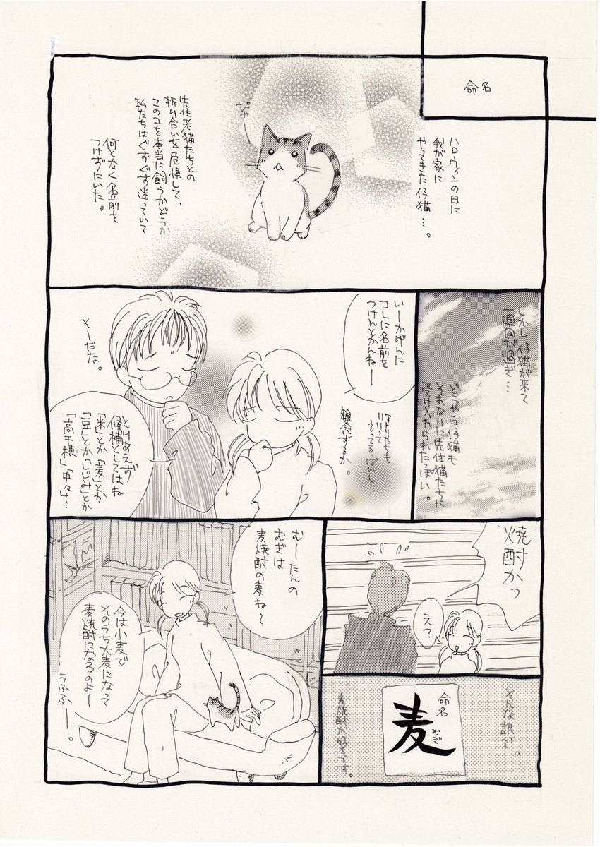 今は日本酒LOVEですが、このころは焼酎をよく飲んでいました。
今なら空(くう)とか名付けていそうです(笑)

そして、猫たちの申し送りみたいなのはあるとおもうの。 