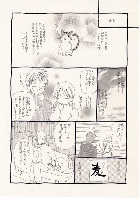 今は日本酒LOVEですが、このころは焼酎をよく飲んでいました。
今なら空(くう)とか名付けていそうです(笑)

そして、猫たちの申し送りみたいなのはあるとおもうの。 