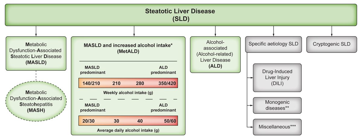 JHepatology's tweet photo. 📢New nomenclature &amp; diagnostic criteria for #fattyliverdisease agreed by global consensus

Joint publication with @alehlatam &amp; @AASLDtweets❗️ 

Find the final version here👉https://t.co/PlTfC3XWQ4

@EASLnews
@EASLedu
#LiverTwitter https://t.co/QtPx5KYJvE