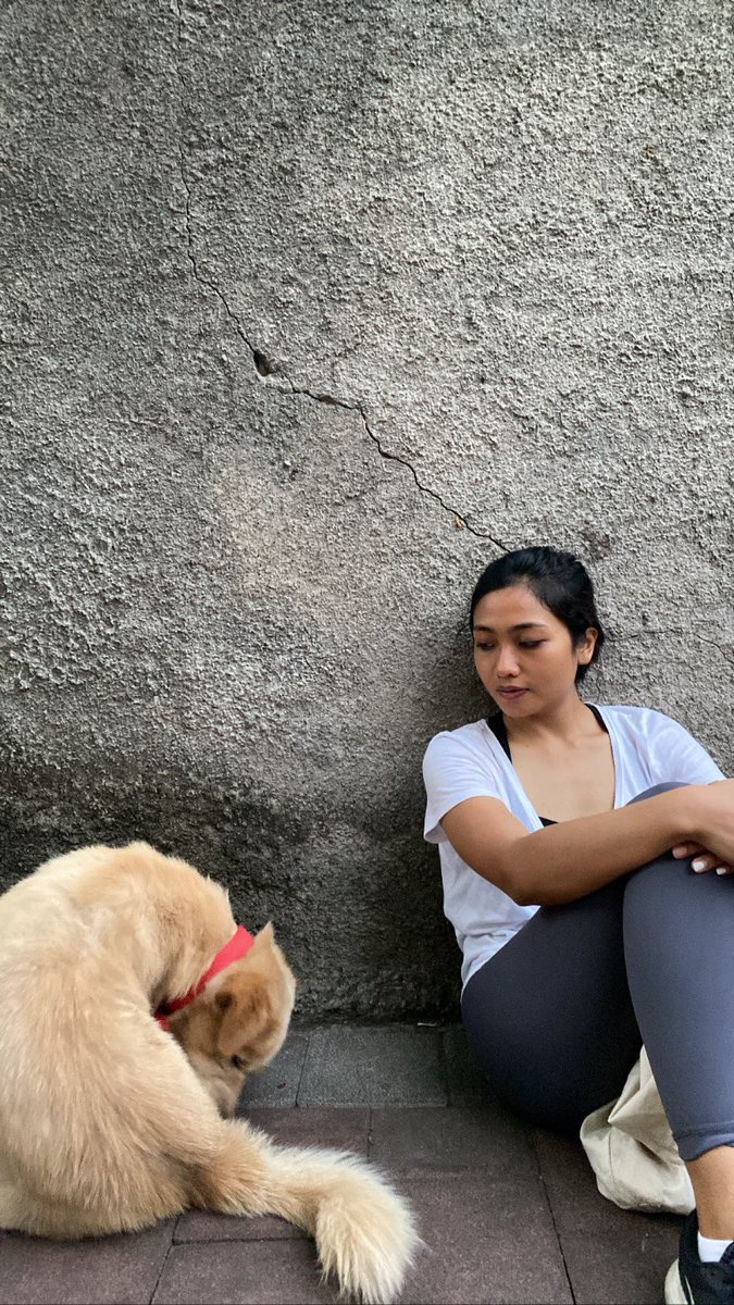 aku dan moka si anjing bodoh