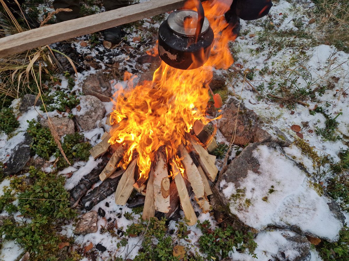 Hankintaryhmän oma #FSC/ #PEFC -koulutus omalla porukalla Tervossa. Kävimme lävitse rantahakkuut, puronvarsihakkuut sekä luonnontilaisetsuot sekä myös pienialaiset kohteet. Erittäin hyvä päivä kerrata operaatio- ja metsäasiantuntijoiden sekä yrittäjän kanssa #sertifiointi asiat.