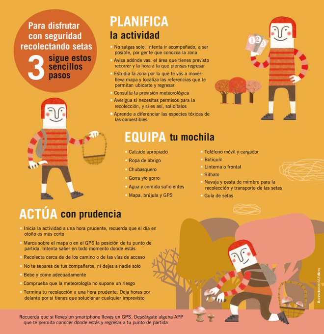 🍄 ¿Te gusta ir al monte a por setas?

🧺 Practica esta afición de forma segura echando un vistazo a estos consejos de <a href="/montana_segura/">Montaña Segura</a>.