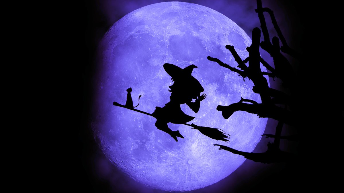 Zannywalker1CC's tweet image. 🎃👻 Happy Halloween, world! 🌕🦇🕷️

Wishing you all a spook-tacular night full of tricks and treats. Share your most frightful moments with us - we can&apos;t wait to see your costumes and spooky setups!

#HalloweenFun #SpookyNights 🎃🕸️👻