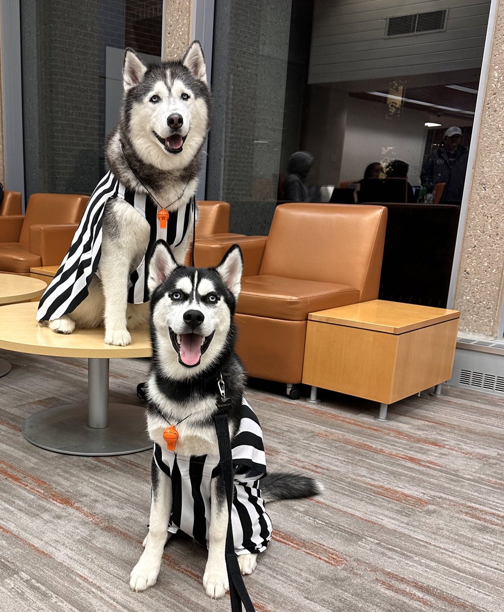 Happy Halloween from your favorite Huskies! 🎃
