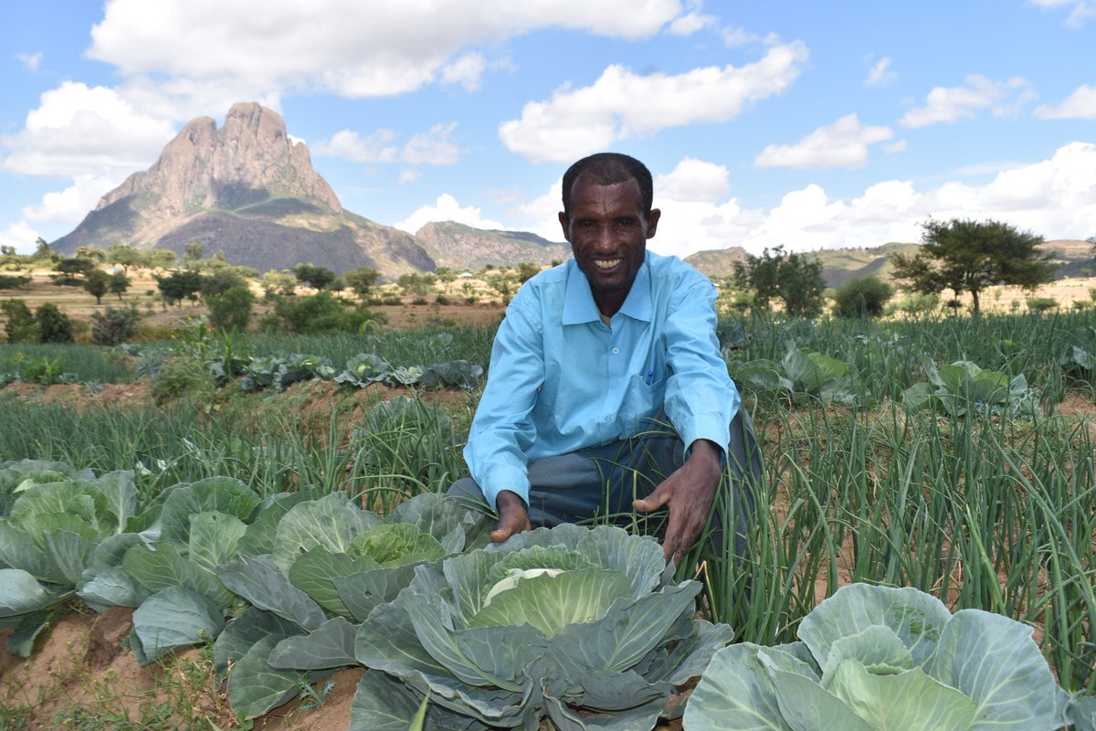 The head of the family sizes, Tesfamariam Welu, is from the Adwa village of Laelay Legomti. He has been using vermicomposting (worm composting) to create nutrient-rich soil for his crop areas and vegetable garden. The results are then spectacular. 
1/n