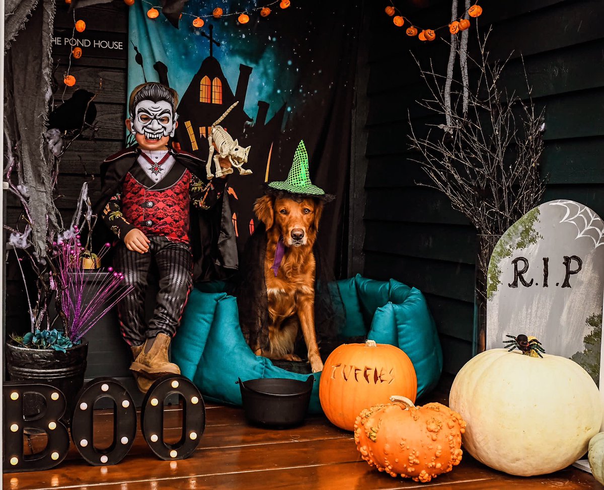 Happy spooooooooooky Halloween from all of us here at HQ.

5% off code till midnight SPOOKY5OFF

TUFFIES.CO.UK