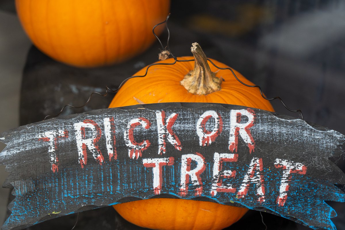 BerkIndComp's tweet photo. Happy Halloween from #BerkindComp! We hope you’re having a spook-tacular time this year! Let’s make it extra special with some festive traditions like dressing up, carving pumpkins, and creating delicious treats. Wishing you a #safe and fun Halloween! 

#HappyHalloween https://t.co/wWYvS0M8OZ