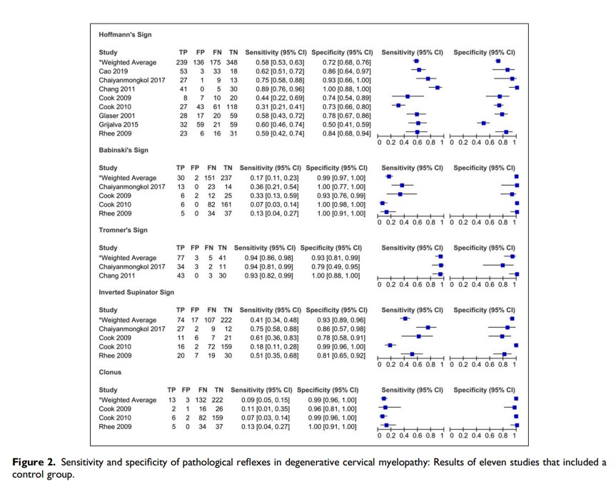 ChadCookPT tweet media