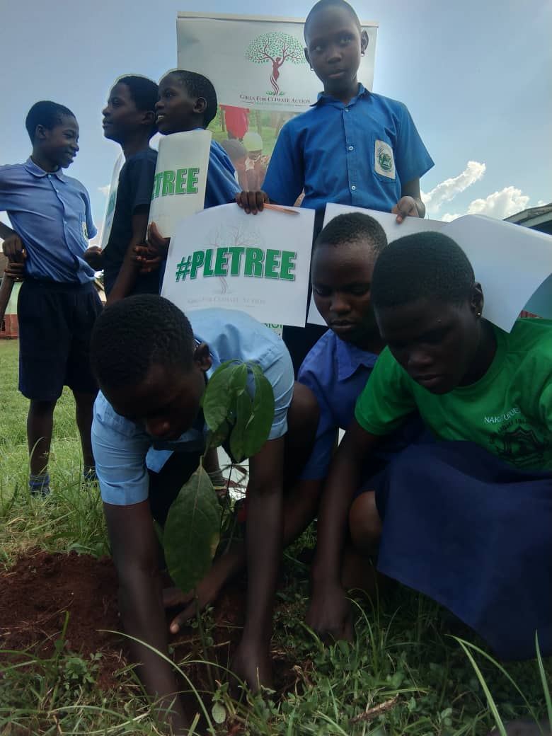 G4ClimateAction's tweet photo. So Yesterday the #GreenMasterProgram was wishing P.7 candidates of Dream Africa Sch. and St. Henry's Education Center success in their forthcoming exams. In these, we were able to plant #PLETrees with them and urged them to keep the env't conservation fire burning
#PLE2023 https://t.co/vi4srUkGS2