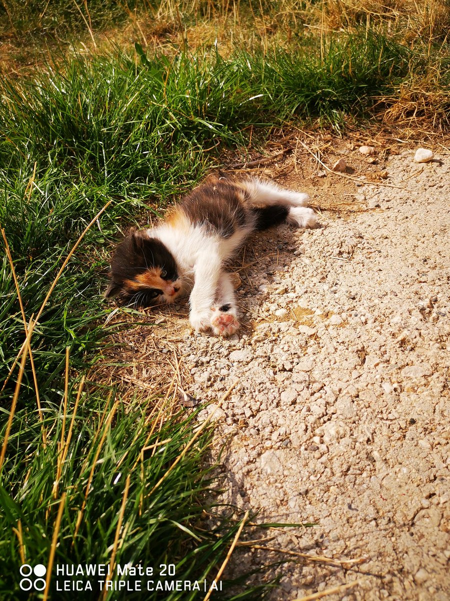 Güneş güzele mi vuruyordu...🥰😄