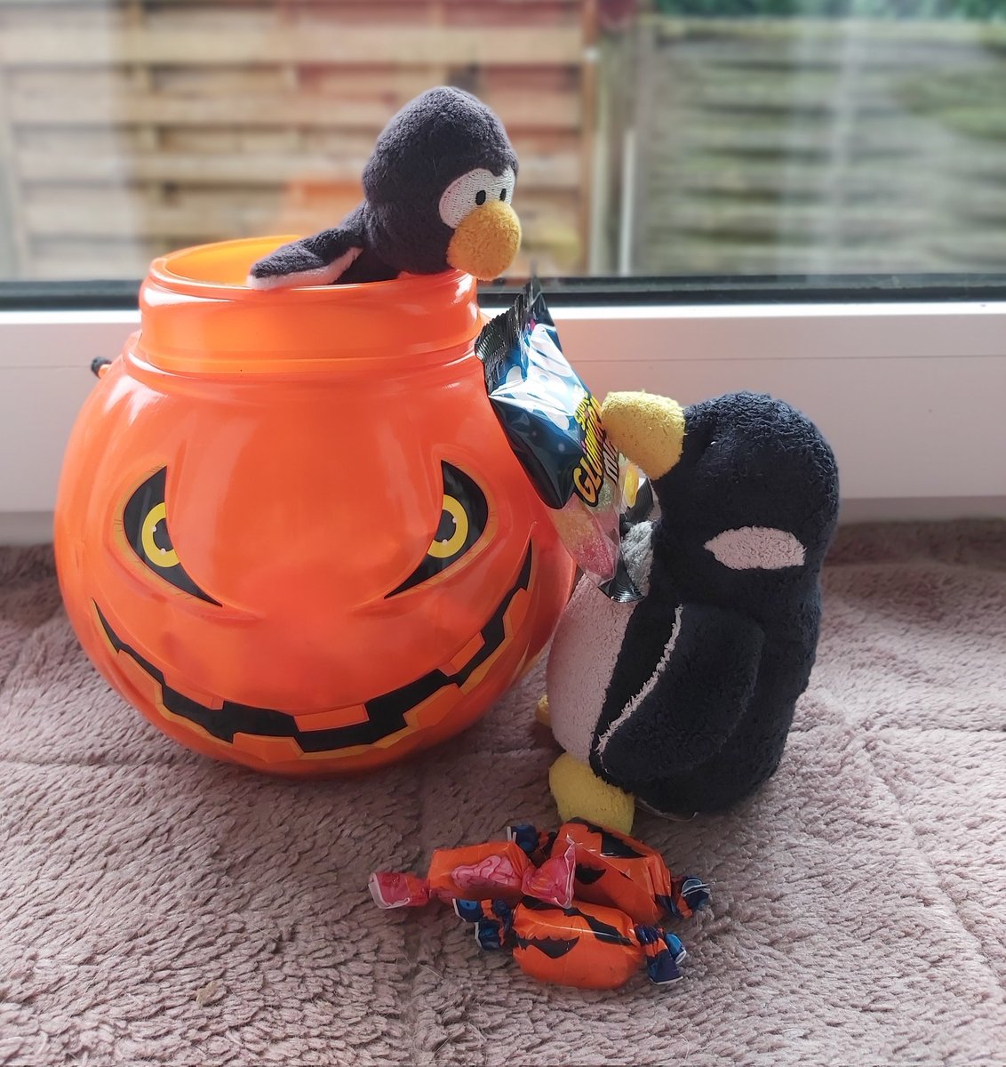 🐧Pingi: 🤩😍Gummiwürmer
👩🏼:🤨 Freunde! Ihr habt doch schon die Gruselschoki☝🏼
🐧🐧:🙄🙁Menno!