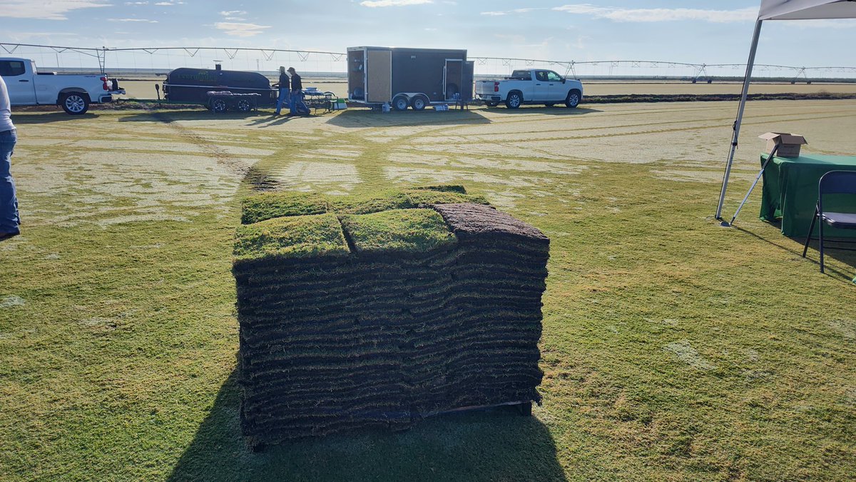 FarmerGolfNtUrf's tweet photo. #CELEBRATIONHYBRID #STARTURF #SODSOLUTIONS #FIELDDAY ⛳☀️ https://t.co/aPmUgD1Zgi