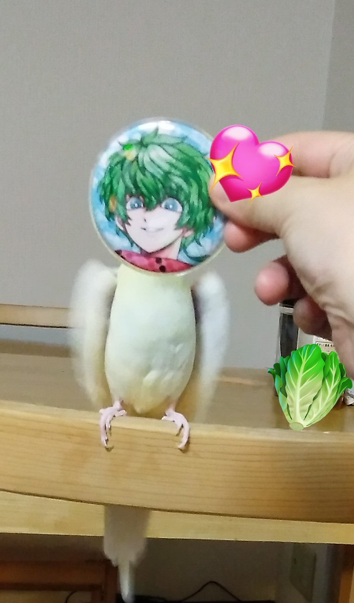 kinokopipo1's tweet photo. ミ🐥（Midori https://t.co/Ee4pWw2uk2