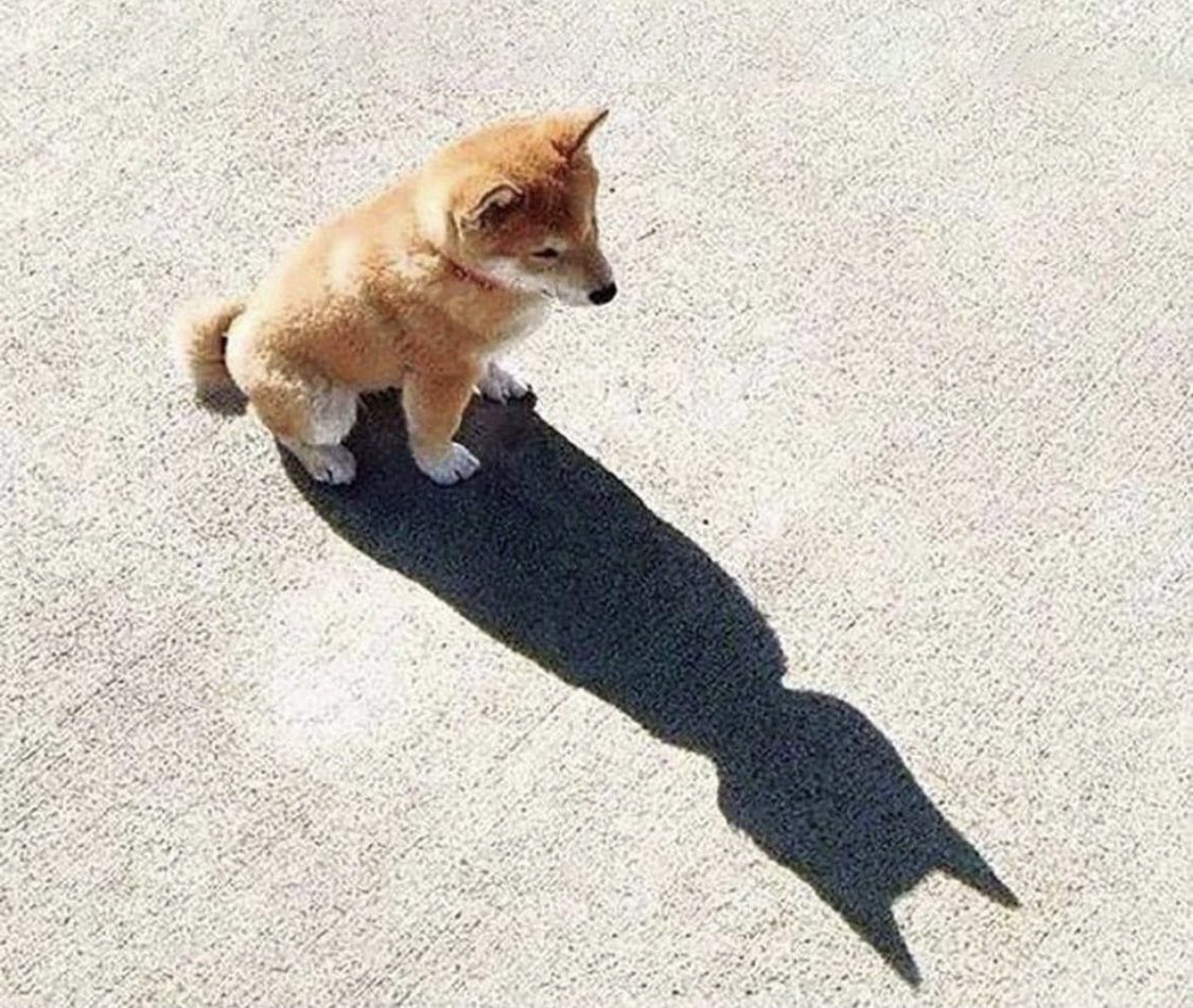 Se tunne, kun tajuat olevasi Batman🤓