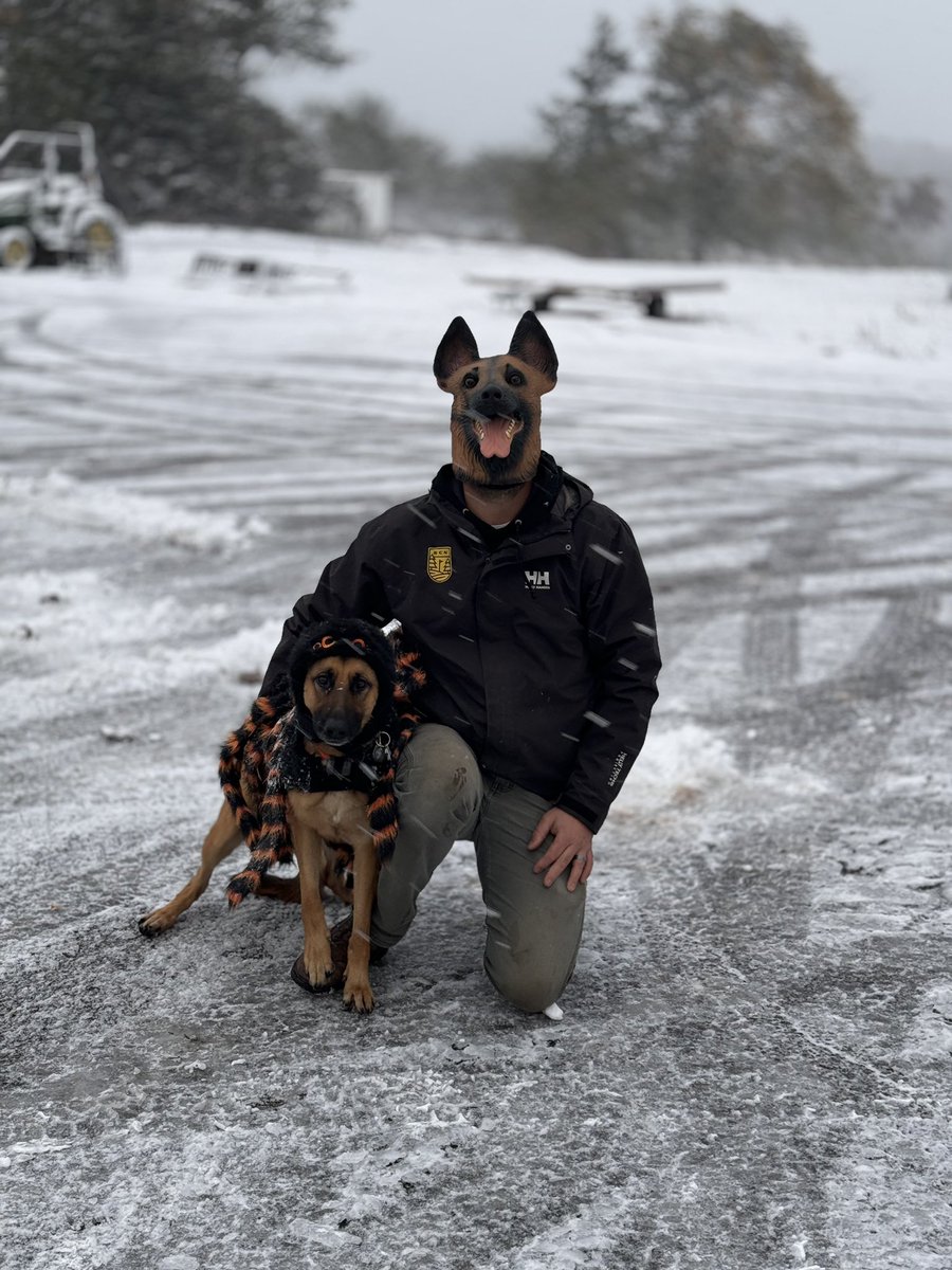 WsRiedel's tweet image. Happy Halloween!! #DogsofTurf #DogsofSnow @DogsOfTurf