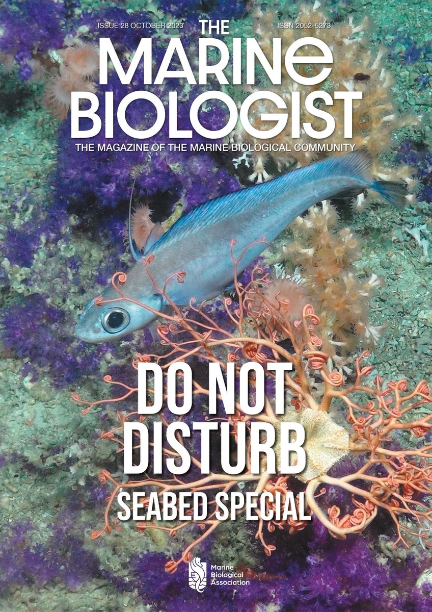 🌊 The theme of our 10th anniversary edition is the #seabed, and why some areas are particularly important for ocean and human health. To celebrate, you can enjoy free access to exclusive articles from our 10th anniversary edition: buff.ly/3Da62sc #TheMarineBiologist