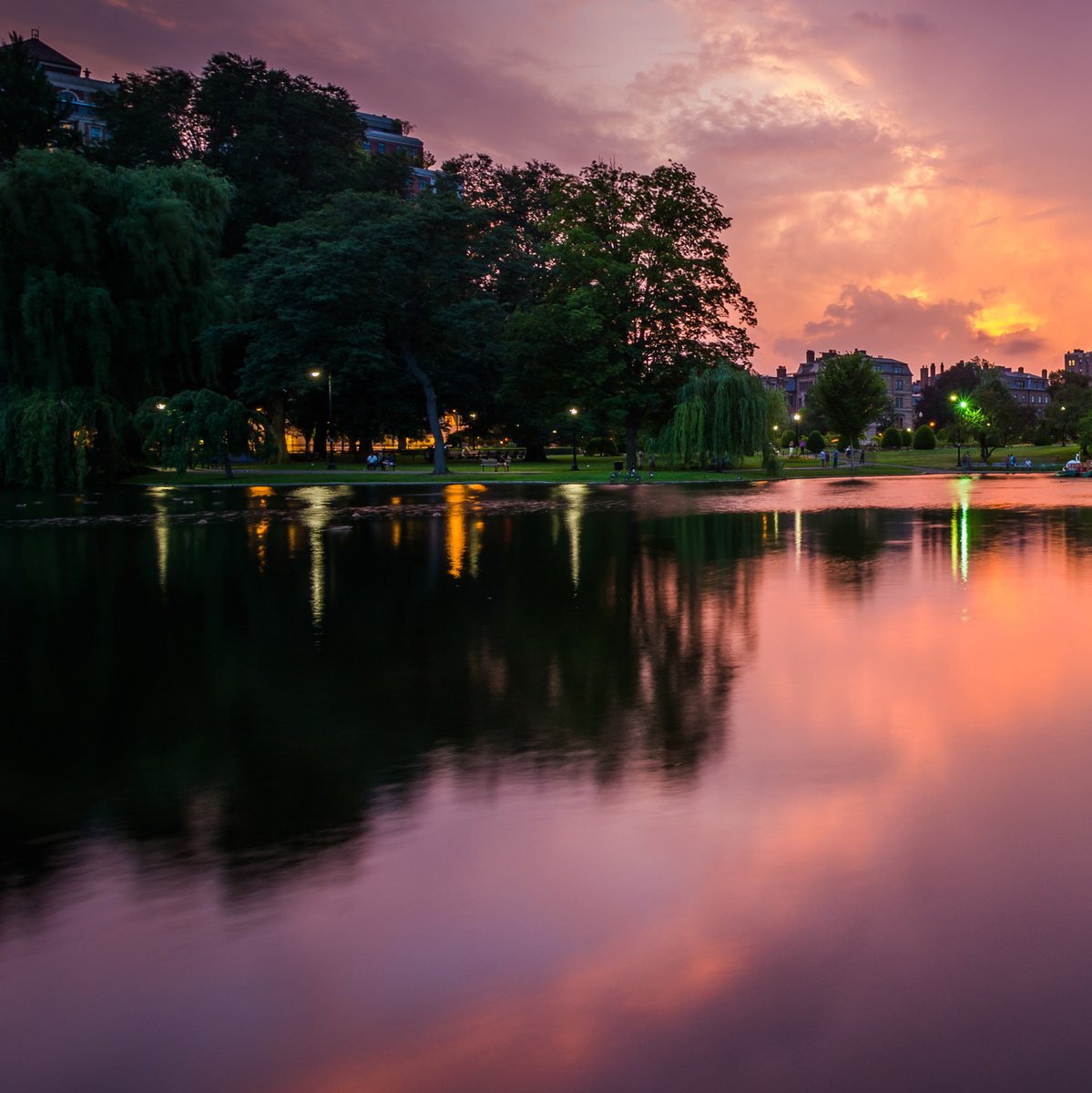 BioBoostNest's tweet image. Happy Halloween to the witches and warlocks of all ages, to those who dress up to go out and to those who stay home to give out treats...stay safe, everyone!

#halloween #twilight