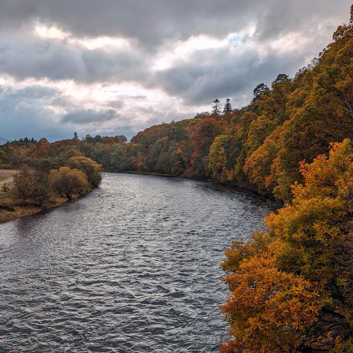 Autumn has transformed the Spey catchment into a kaleidoscope of colours! 🍂 Deciduous trees along our rivers and burns are now showcasing their seasonal hues. Any tips on the best spots to catch this visual feast in the coming week? 🍁 #SpeyCatchment #AutumnColors