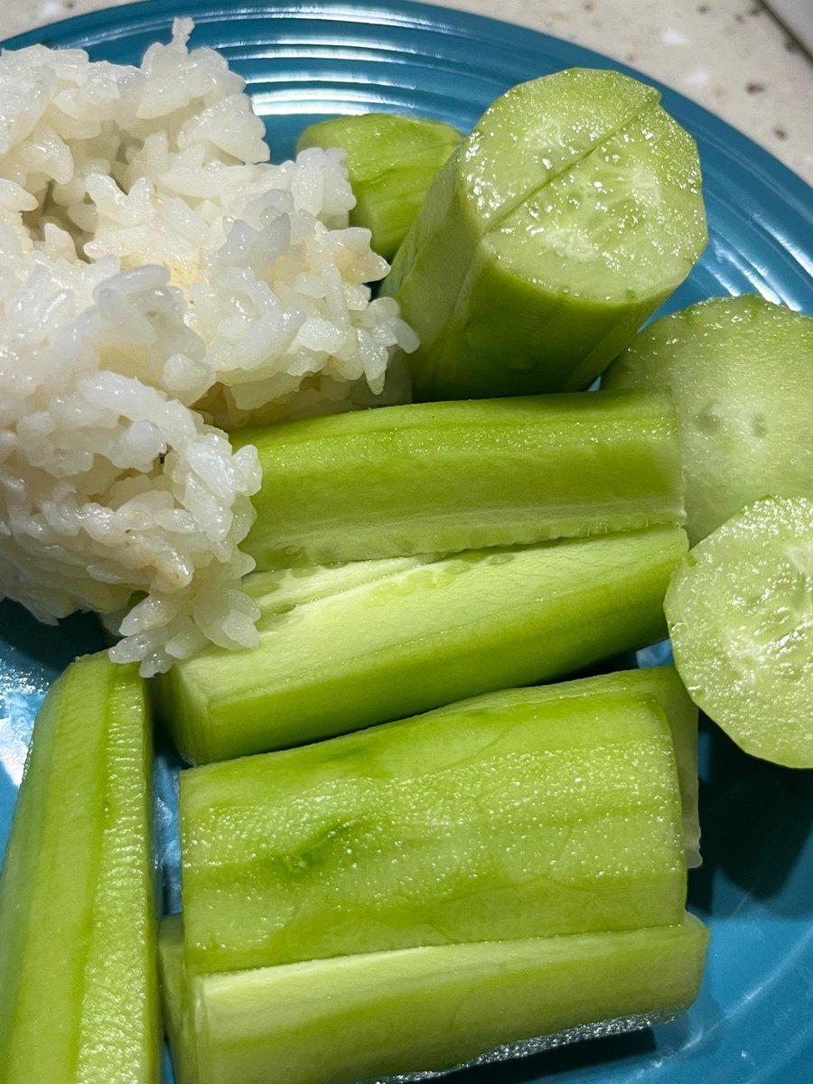 231031 ❄💭 

i ate hot pot for dinner, fell asleep, and then woke up to reheat and eat it again

#WEKIMEKI #위키미키