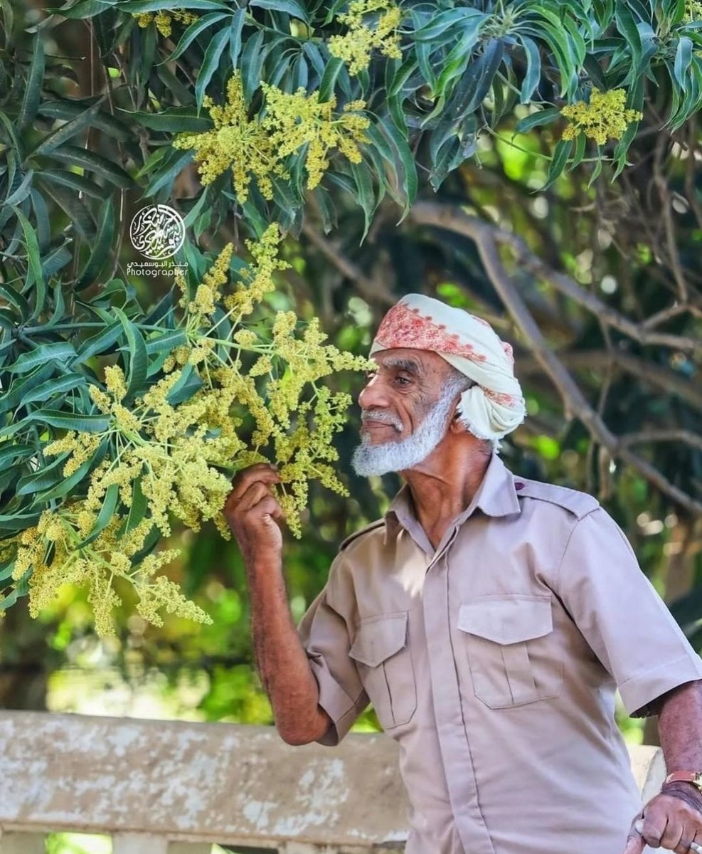 كلما أعطيت بلا مقابل..
كلما رزقت بلا توقع..🇴🇲🍃

#مساء_الخير
#يوم_الشجره_العماني
#عمان_تحظر_الطيران_الصهيوني