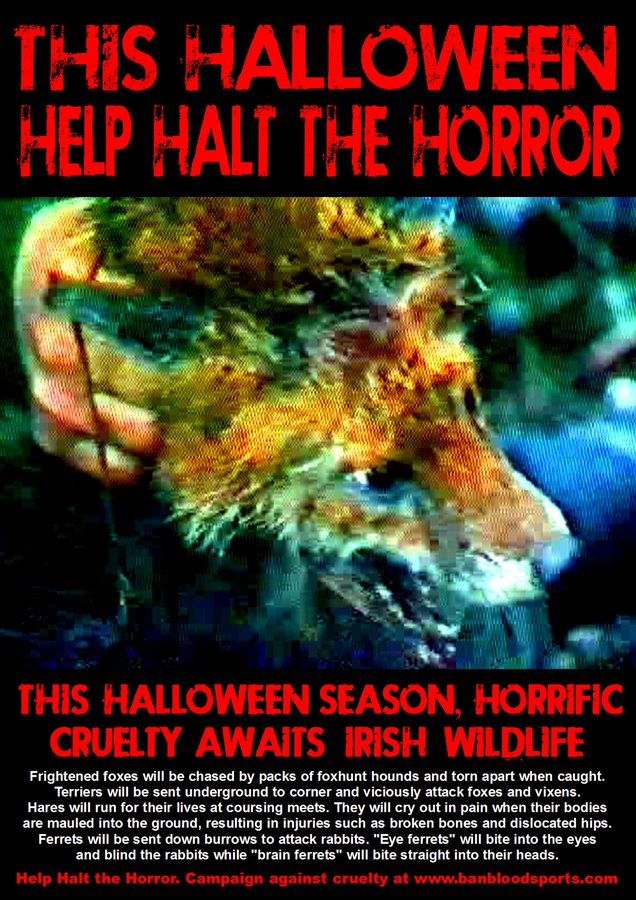 banbloodsports's tweet photo. This Halloween season, help halt the horror for Irish wildlife. Join us in urging the government @LeoVaradkar @MichealMartinTD @EamonRyan to #BanFoxHunting #BanHareCoursing https://t.co/HybVyrILyt #Halloween #Ireland #AnimalCruelty https://t.co/ERueiqzEkj