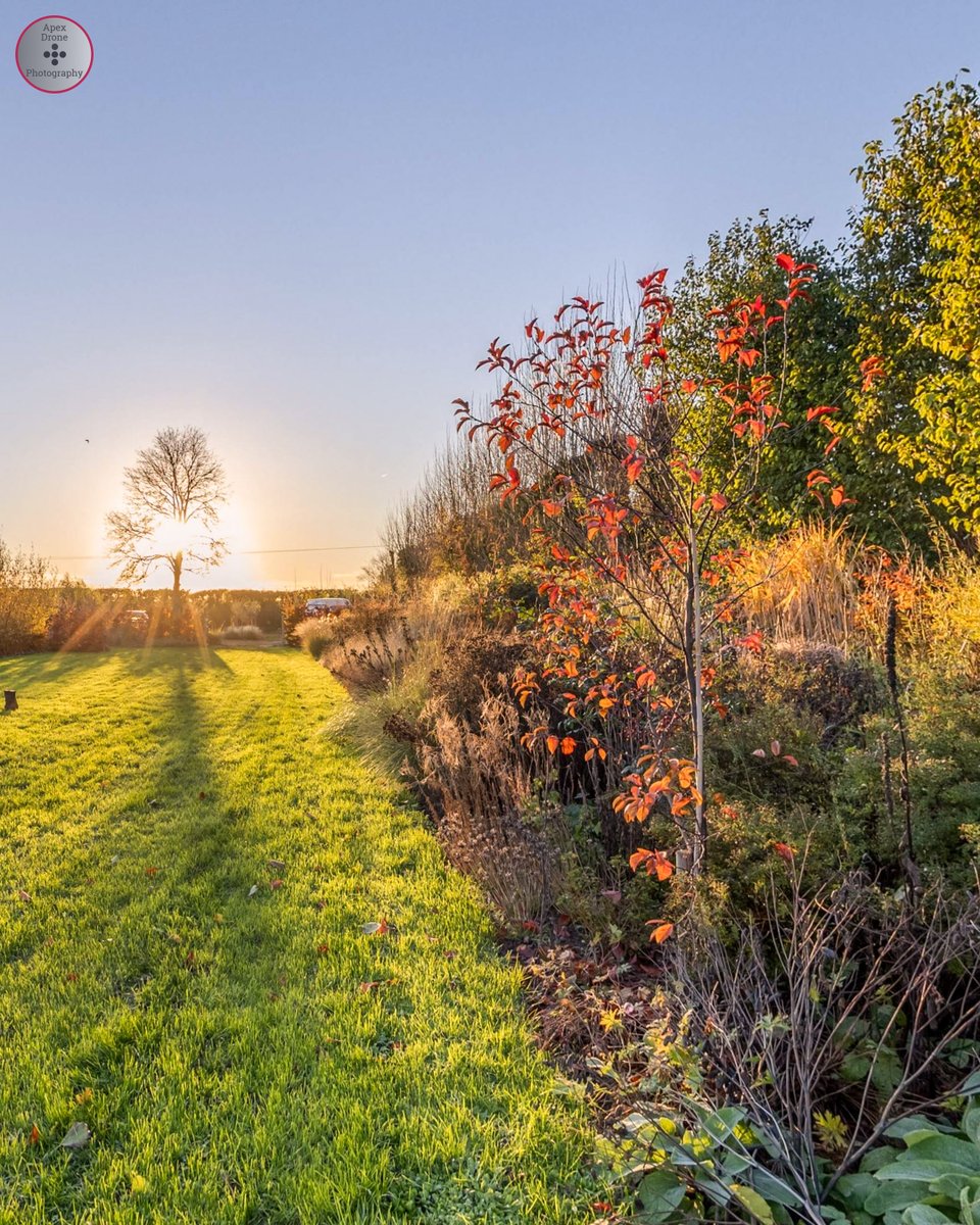 Thrilled that The Land, a project by @stevenedney4 & @LouDowle, now has a website up and running. Plenty of media on there, some of it by Apex Drone Photography, charting it's rapid development since 2019. thenonamenursery.co.uk/the-land/ #gardendesign #horticulture #perennial #jungle