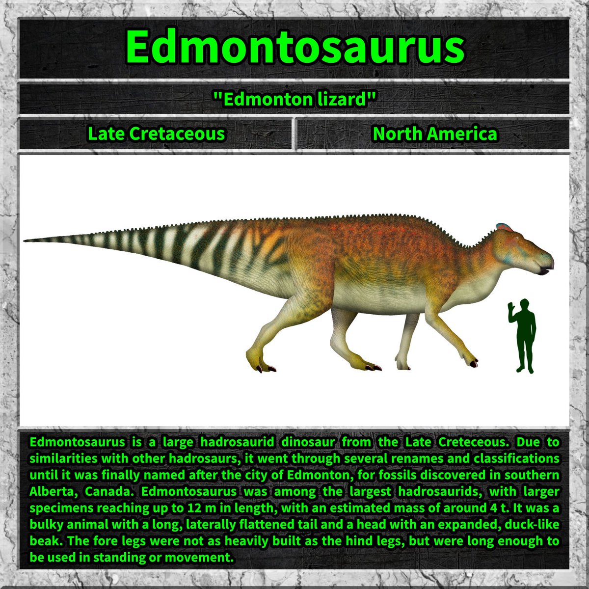 Total_Dino's tweet image. #edmontosaurus #lifeonourplanet #dino #dinosaur #dinosaurs #cretaceous