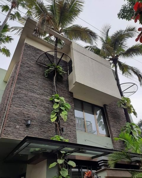 karuna_rajkot's tweet photo. Planting a tree at home, growing a greener future.
.
.
.
#karuna #karunfoundation #karunatalks #karunafoundationtrust #animalhelpine #mitalkhetani #gcci #samastmahajan #sadbhavnavrudhashram #shreejigaushala #tree #nature #trees #green #forest #naturelovers #naturelover #wood https://t.co/UgYFknAn6Y