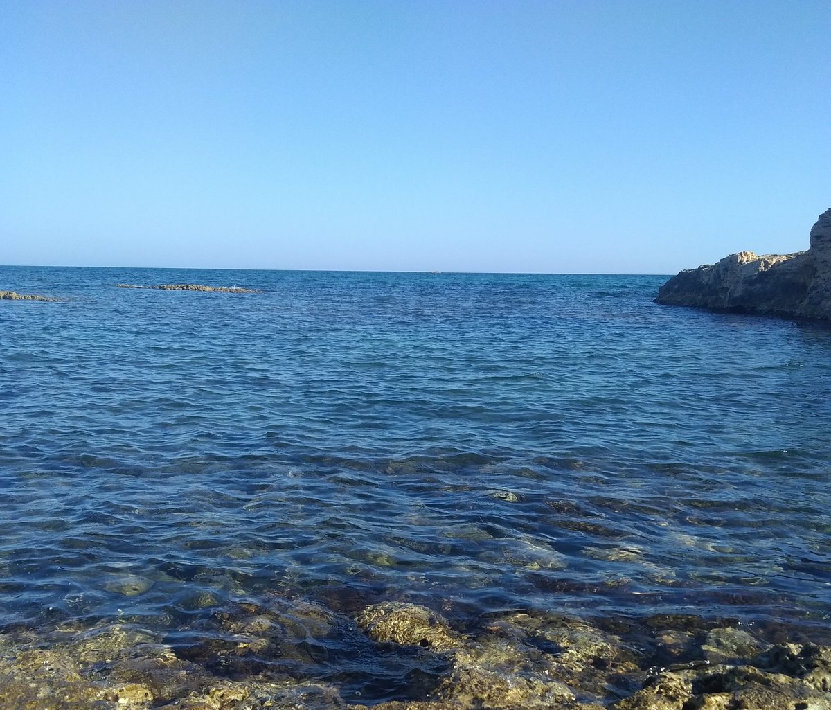 Analogica06's tweet photo. "Ispica"
#NaturePhotography #seaside #mare #ispica #photography #amateur https://t.co/oHny65MmRi