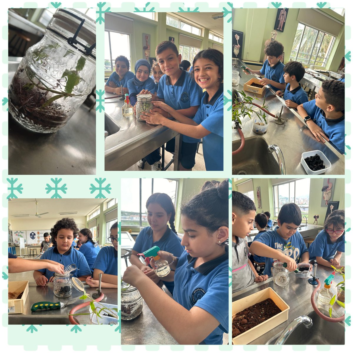 manalshaar2's tweet image. My fifth graders creating their own ecosystem in a jar. @MakAishaSchool @NElakhdar