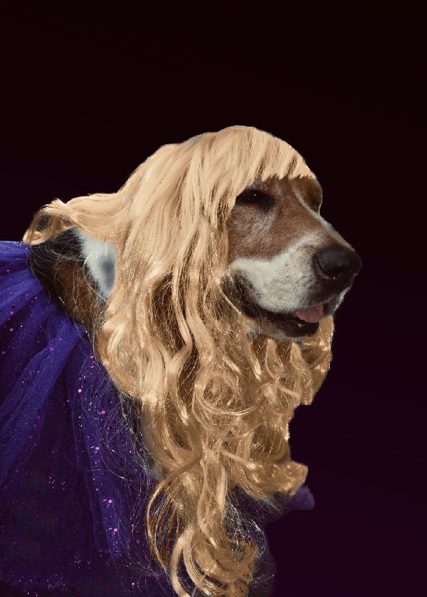 Kayla_moore18's tweet photo. the only way to do a pup Halloween photo shoot! @taylorswift13 @taylornation13  #pupsversion #taylorsversion #albumshoot https://t.co/FAubPtopFZ