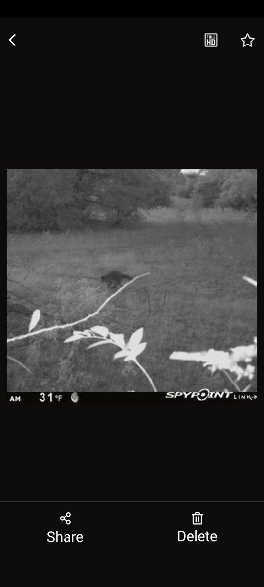 1DeplHonkey's tweet image. Late for breakfast? #SPYPOINT