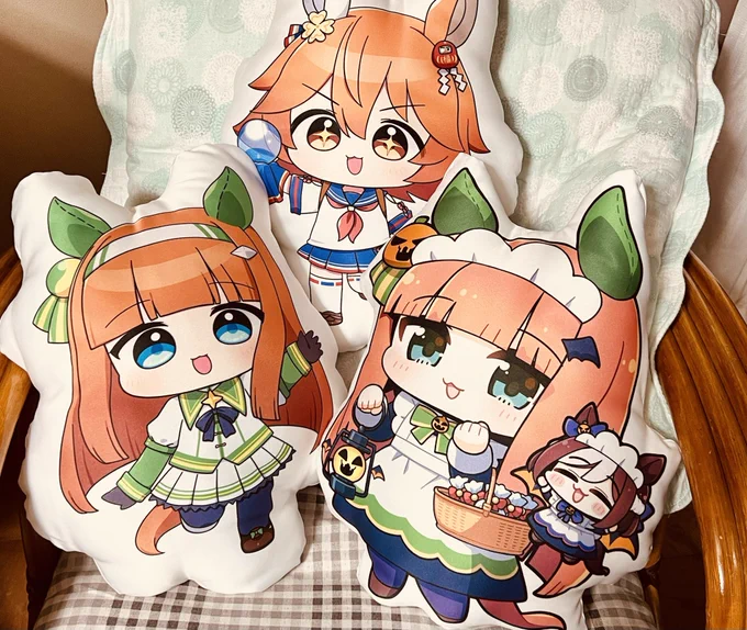 ねんがんのめいさん作クッションたちと記念撮影!!! 可愛いの圧がものすごいです!!しあわせー!!!