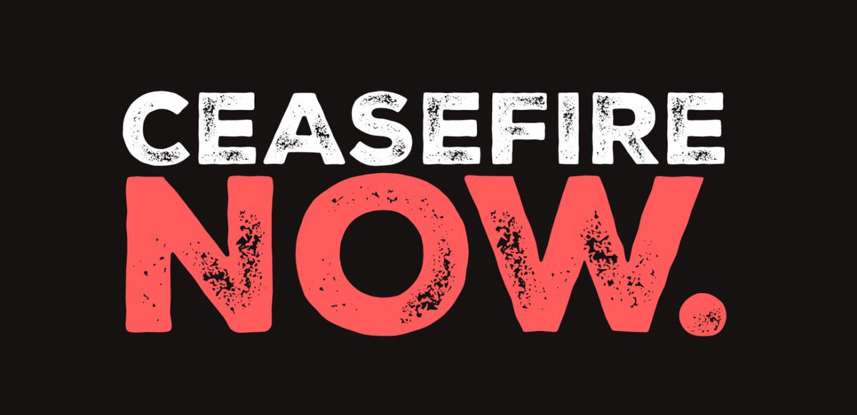 Peace Brigades International supports the call for an immediate ceasefire, respect for international humanitarian law, an end to collective punishment and a process of negotiations leading to a just and lasting peace. #CeasefireNow