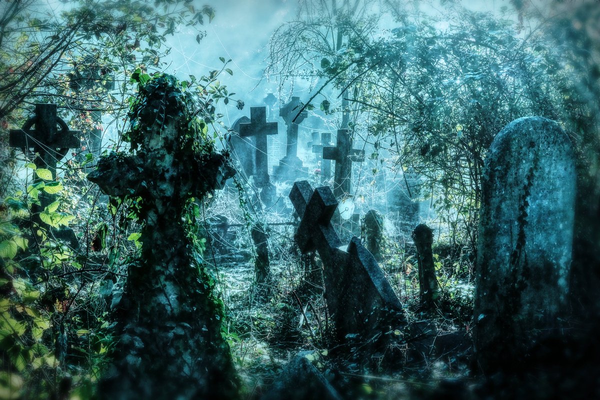 HAPPY HALLOWEEN 🪦👻☠️🕷️🕸️🎃 Southampton Old Cemetery last week @AlexisGreenTV @samwessexgirl @hollyJGreen @PhilippaDrewITV @AmandaHouston @WeatherAisling @ChrisPage90 @HelenPlint @TheDanDowns @BBCSouthWeather @itvweather @HistoricalSoton @SouthamptonHid1 #Halloween2023