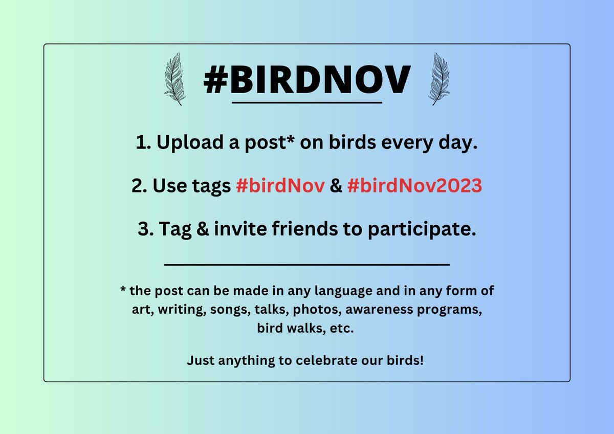 Let us #BirdNov - for Birds, every November! Join us for the 30 day challenge! #BirdNov2023