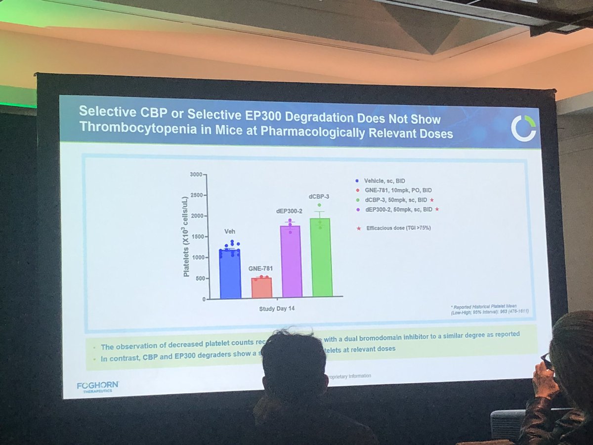 HartungIngo's tweet photo. While dual inhibition of CBP &amp; EP300 bromodomains causes thrombocytopenia in mice, designing selective degraders for either of the two allows overcoming this safety limitation at doses sufficient for selective target degradation. By Steve Ballon @foghorntx at #TPD23 @Undruggable https://t.co/utnUaL5EEJ
