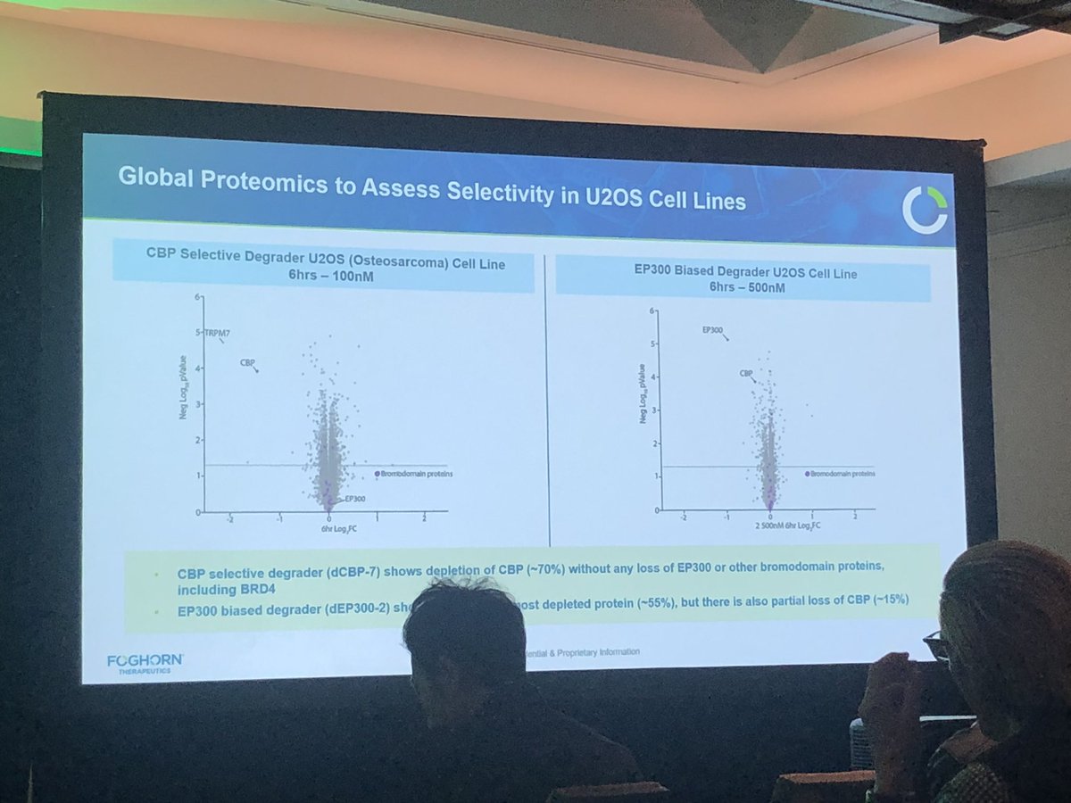 HartungIngo's tweet photo. While dual inhibition of CBP &amp; EP300 bromodomains causes thrombocytopenia in mice, designing selective degraders for either of the two allows overcoming this safety limitation at doses sufficient for selective target degradation. By Steve Ballon @foghorntx at #TPD23 @Undruggable https://t.co/utnUaL5EEJ