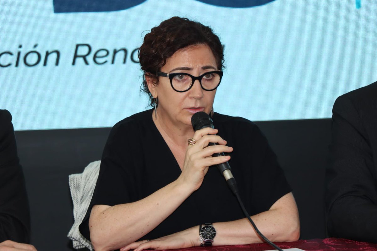 Pilar del Barrio, coordinadora del Programa de Cooperación de la Unión Europea, Desarrollo Sostenible en Paraguay, indicó que la plataforma simboliza la alianza estratégica para avanzar hacia un mundo mejor. Indicó que los datos son importantes para cumplir los ODS en Paraguay.