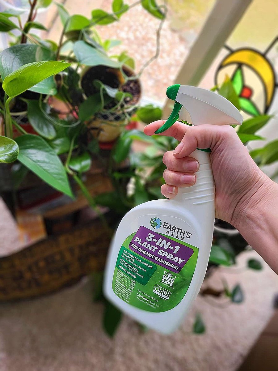 Keeping your #plantbabies free from pests and diseases through every season ❄️🌱🏖️🍁