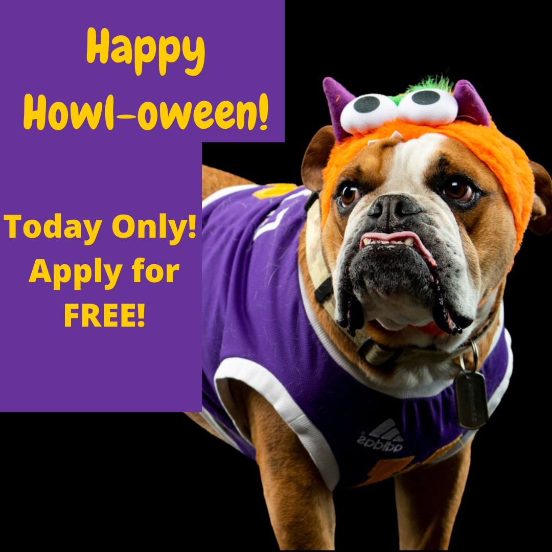 No tricks, only treats from Ray this Halloween! 🎃 Become a Leatherneck today for FREE. Visit wiu.edu/apply for the application fee waiver until 11:59pm on 10/31. For domestic undergraduate applications only. #wiu #wiuadmissions #feewaiver #college