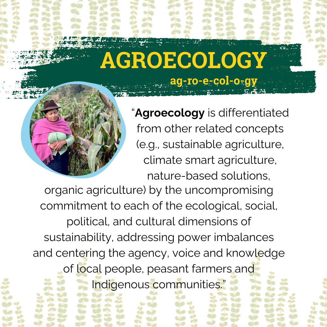 UVM Institute for Agroecology (@agroecology_uvm) on Twitter photo This new encyclopedia -- written by IfA's <a href="/AndersonColinR/">Colin Anderson</a>, Martha Caswell, and co-author Claire Lamine -- articulates agroecology as a transgressive framework rooted in the struggle for food sovereignty. Read the full article here: uvm.edu/agroecology/pu… This new encyclopedia -- written by IfA's <a href="/AndersonColinR/">Colin Anderson</a>, Martha Caswell, and co-author Claire Lamine -- articulates agroecology as a transgressive framework rooted in the struggle for food sovereignty. Read the full article here: uvm.edu/agroecology/pu…